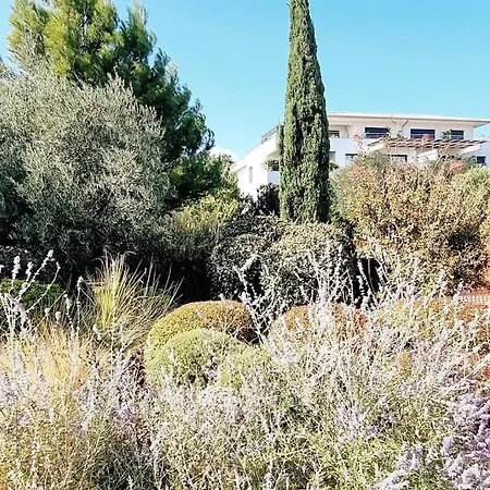 Superb With Swimming Pool Domaine D'arca Prázdninový dům Porto-Vecchio (Corsica)