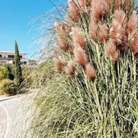 Σπίτι διακοπών Superb With Swimming Pool Domaine D'arca *