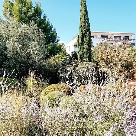 Prázdninový dům Superb With Swimming Pool Domaine D'arca Porto-Vecchio (Corsica)